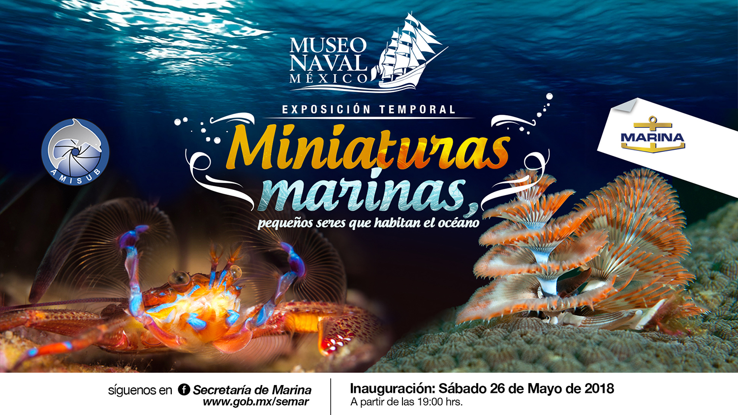 pantalla-lobby-mayo-mini