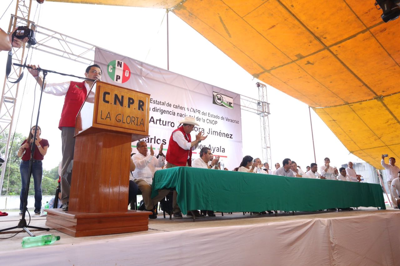pepe-yunes-5