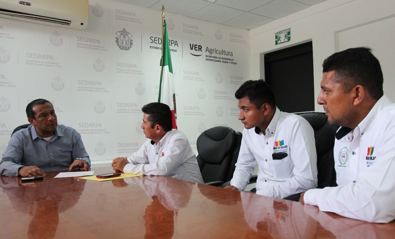 atiende-sedarpa-a-funcionarios-de-paso-de-ovejas-1