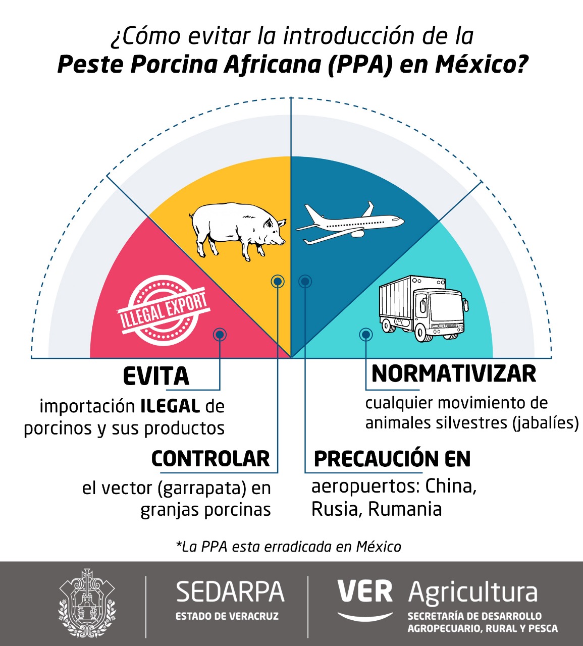 establecen-medidas-preventivas-para-evitar-riesgo-de-introduccion-de-la-ppa