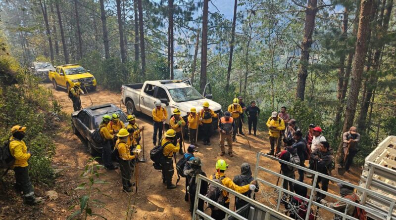 620 hectáreas afectadas por incendios en Altas Montañas, el dato preliminar; avanzan labores de control y liquidación
