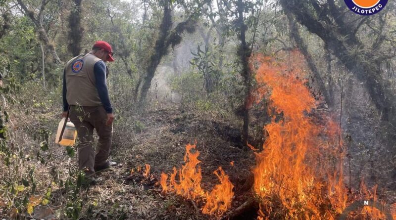 Protección Civil y Voluntarios en Acción: Combaten Incendio en La Concepción, Jilotepec