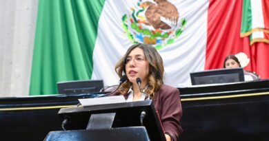 Diputación Permanente garantiza continuidad, atención y servicio: presidenta del Congreso