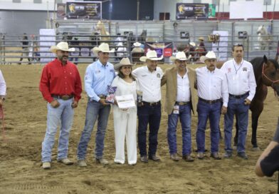 Veracruz, punto de reintroducción del caballo en América del Norte