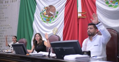 Aprueba Congreso reforma que facilita a las mujeres el acceso a la lactancia