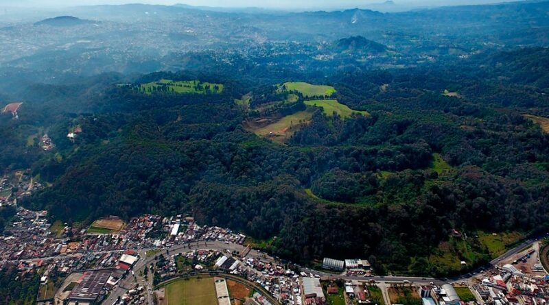 ALBERGA BANDERILLA IMPORTANTE BOSQUE MESÓFILO DE MONTAÑA