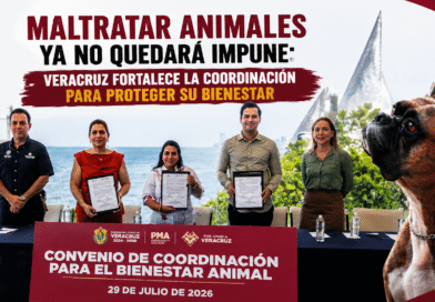 🐾 Maltratar animales ya no quedará impune: Veracruz fortalece la coordinación para proteger su bienestar