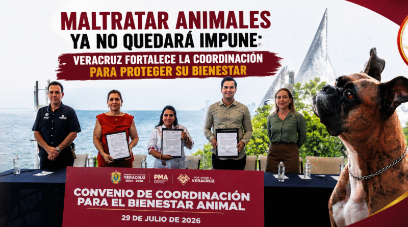 🐾 Maltratar animales ya no quedará impune: Veracruz fortalece la coordinación para proteger su bienestar