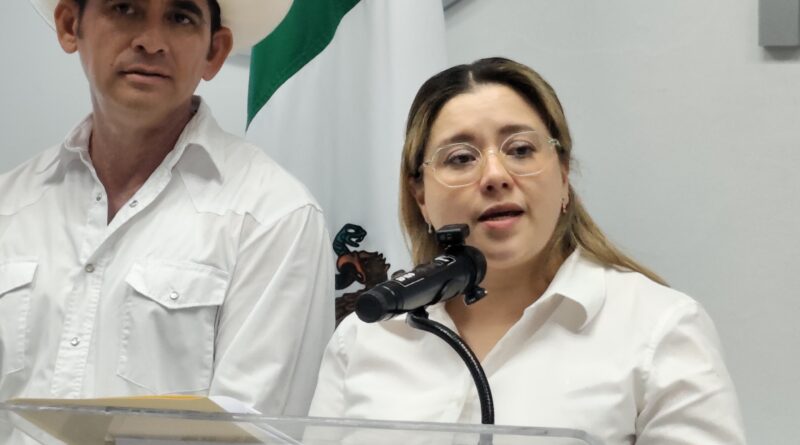 PAN Veracruz presenta plataforma ciudadana para documentar recetas sin surtir y cirugías pospuestas